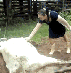 机会|搞笑GIF:别说我没有给你机会啊