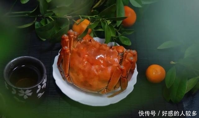 大闸蟹|为什么说阳澄湖的蟹，是中国的顶级食材