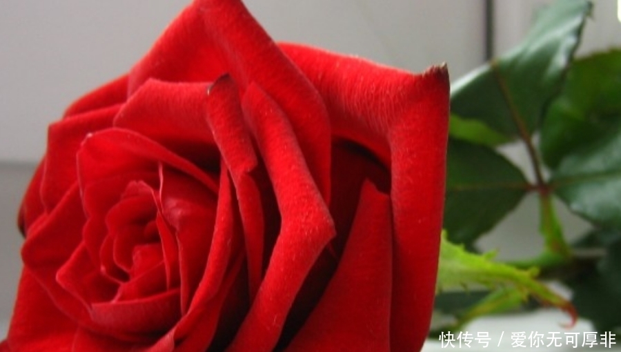 上旬|九月上旬开始,事业一路畅通,福多财旺,日进斗金的生肖