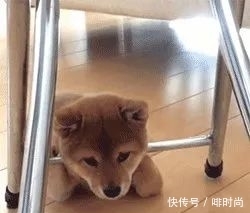 爱情|不忍直视！他为爱情豪掷13万，“女神”到面前却傻眼了