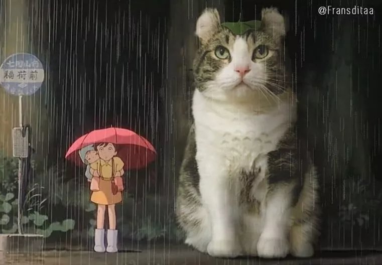 哥斯拉|要是小猫咪突然变成了庞然大物,这个世界会是什么样的