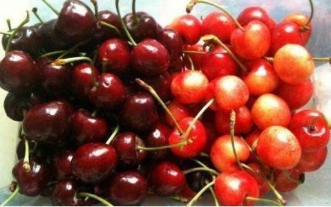 中国|看完中国人吃车厘子,再来看美国人吃车厘子,没有对比就没有伤害