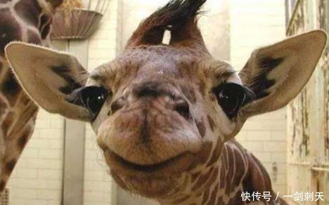 全班同学|班主任让我回家叫我爸来，然后当着全班同学的面，把我俩一起踹！