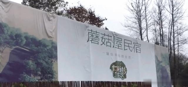 环境|《向往的生活》蘑菇屋荒废被拆,环境可怕的吓人,大家都去哪了