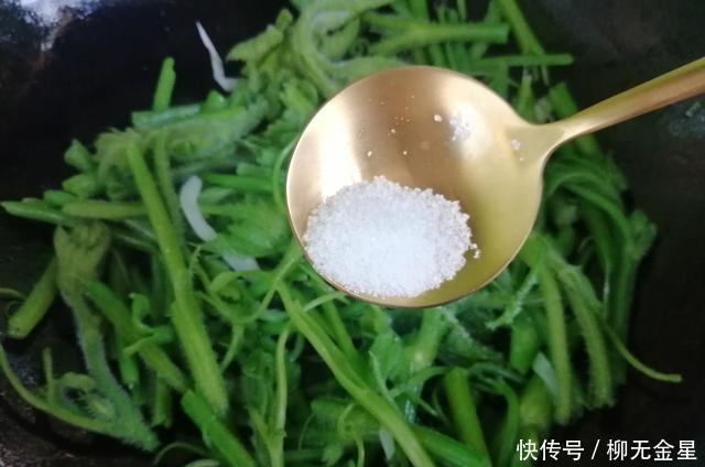  特别|这菜是个宝，可惜很多人不懂扔掉了，清热解暑，清脆爽口，正当季