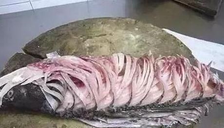 切成|日本厨师在中国厨师面前,“秀”刀功面包切成80片,被两道菜打脸