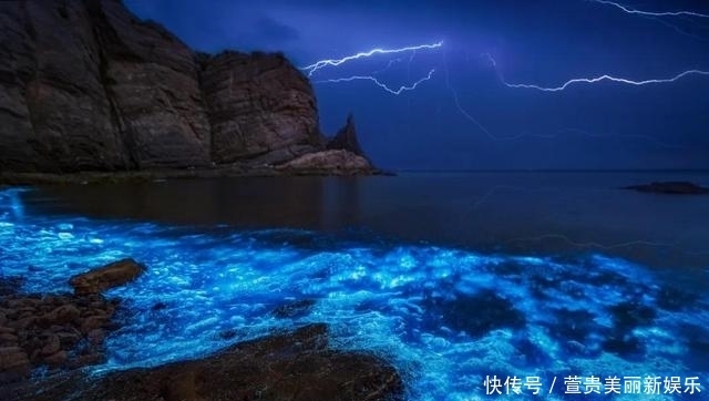 看过|看过太多的海,仍为这座“北方明珠”着迷