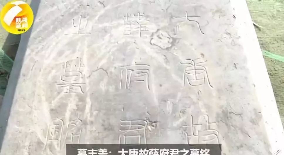 太平公主|太平公主丈夫薛绍墓被发现!网友:想看3d复原薛绍的长相