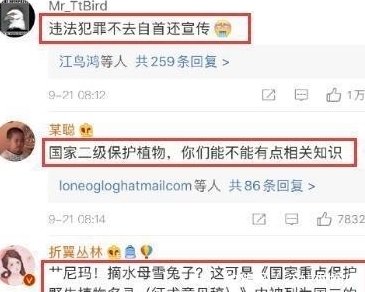 曝光|真相曝光!《极限挑战》刘宇宁摘雪莲花是二级保护植物,评论翻车