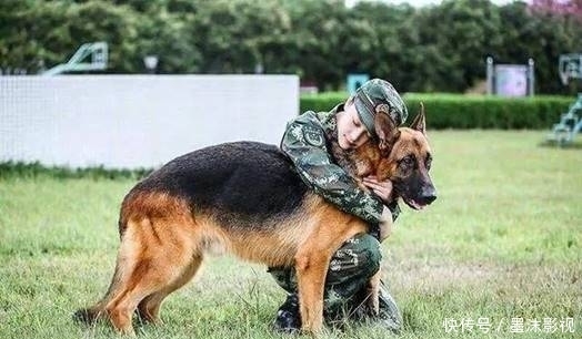  医药费|女子前后被狗咬伤两次，600元医药费对方不愿意赔：狗咬的关我什么事？