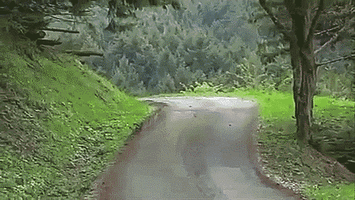  搞笑|搞笑GIF：妈妈真是有耐心！