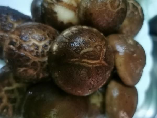 奢华|正宗的”佛跳墙“有多么奢华,看完我愣了贫穷限制了我的想象