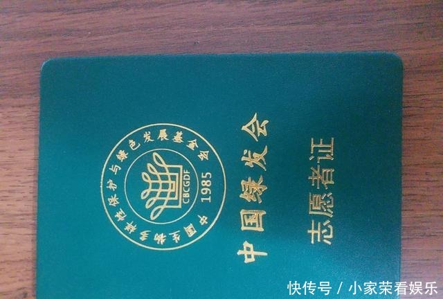 动物|提姆那灰鹦鹉在红树林里不受保护,随意捕捉,小孩养着玩