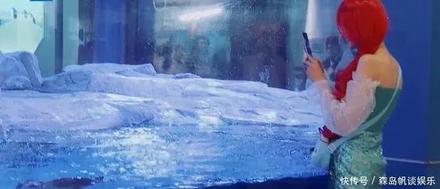 节目|偶像包袱太重的郑爽,上综艺划水玩游戏作弊,水都要“假喝”