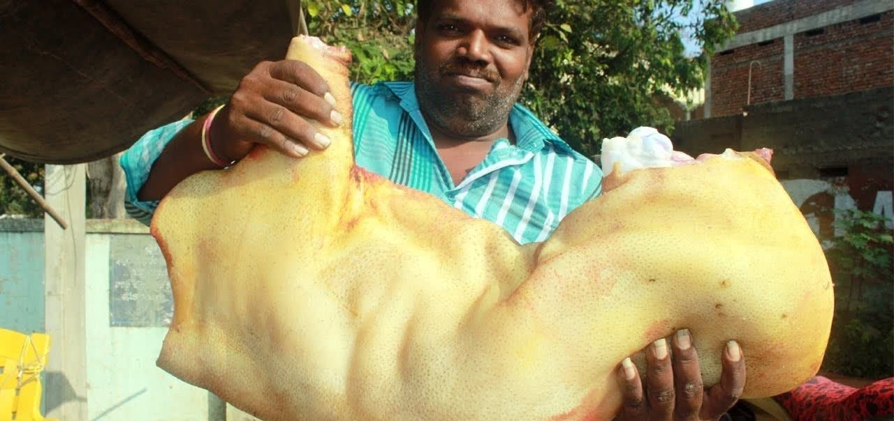 印度人|印度人如何吃猪肉咖喱汁炖20斤大猪腿,用手拿着大口啃