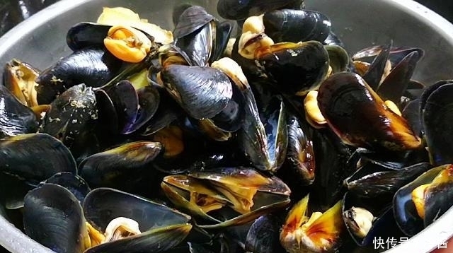 奇鲜|海边人最爱吃4种海鲜,一般人不懂瞧不上,实则是“天下奇鲜”