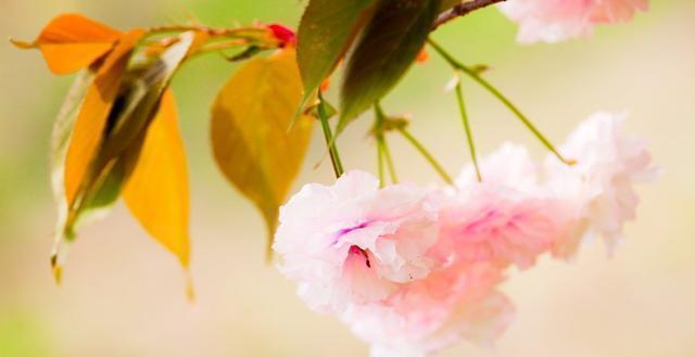 精辟|发人深省的24句人生感悟句子,精辟入骨,一生必读