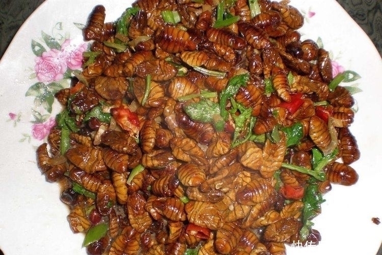 回家|去东北小姨家“做客”,做了一大桌子的菜,吃两口就“撂筷”回家