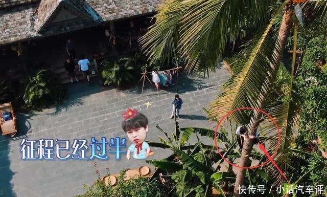 椰子树|节目为何不阻止彭昱畅高空摘椰子当镜头拍到这个细节,瞬间懂了