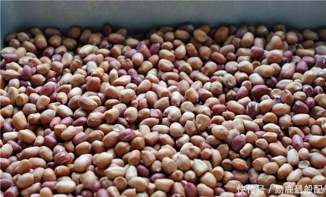 维生素C|这种芽营养高,敢吃的人却不多,市场上不常见,自己做吧,挺简单