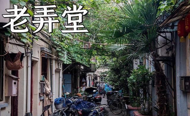 马路|回忆杀卢湾区超嗲百年马路,上海人永远记得你