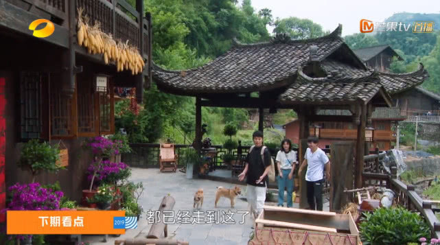  迎接|《向往》史上最惨男嘉宾，来了不但无人迎接，还要给兄妹俩做饭吃