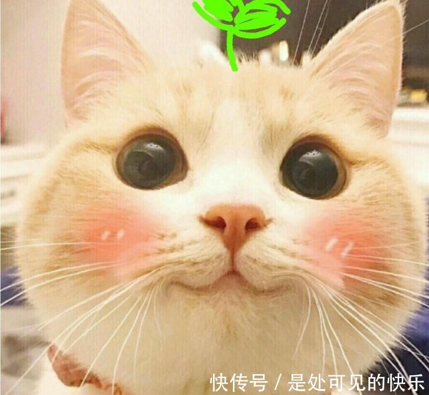 老板|每日一笑:老板,你家这模特,很符合现在的人群呀!