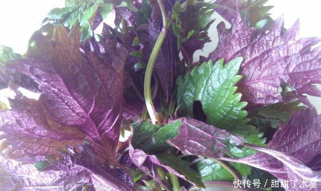  回味无穷|这道菜是用乡下的天然香料做的，让人回味无穷