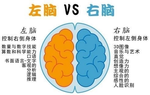 记忆力|孩子记性差、总是丢三落四?瞧瞧4个记忆力训练法,值得家长学习