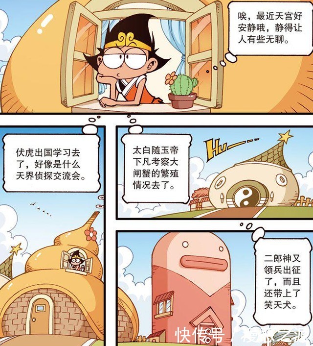 回家|天气晴朗好无聊,降龙打算开始进行“日光浴”,伏虎终于回家啦