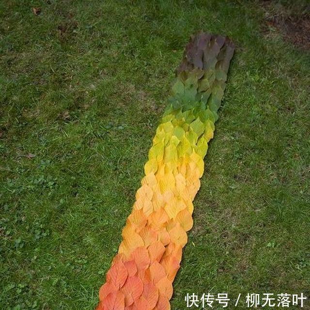 强迫症|14张让强迫症患者非常“痛快”的照片,看完后爽歪歪