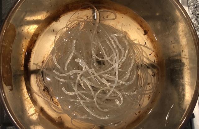 开胃|多给孩子做此菜，开胃补钙身体棒，成本5块钱，一年四季都能吃