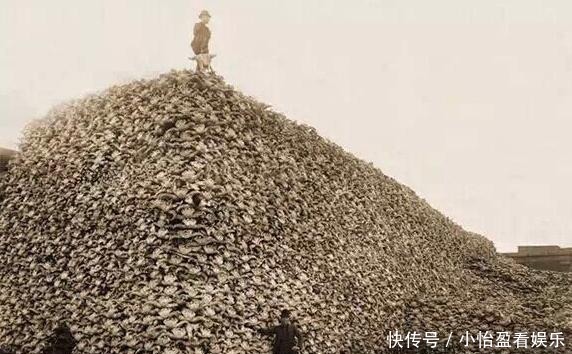 老照片|经典老照片:图一美女招眼,图七希特勒很谦卑