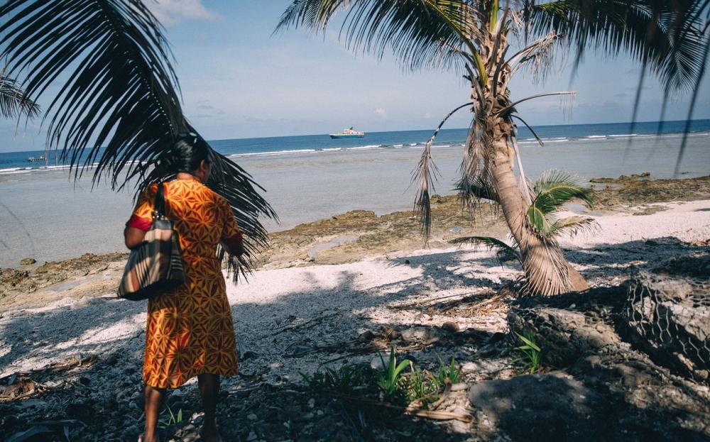  拥有|倒数第一经济体：靠太阳能发电人均拥有5头猪，居民全是双重国籍