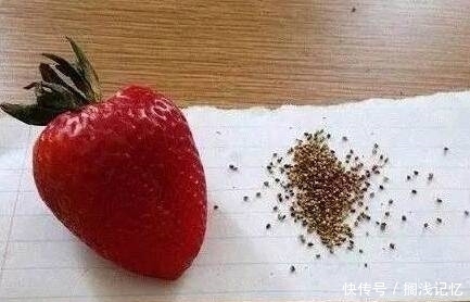 妹子|搞笑段子趣味图片: 妹子，这风好调皮啊，头发都吹直了