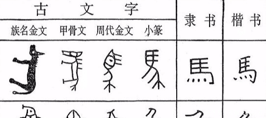 他用甲骨文写高考作文,得6分仍被录取,培养