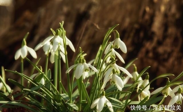  星座|在8月上旬，真爱降临，坚定内心，不再放手的三大星座