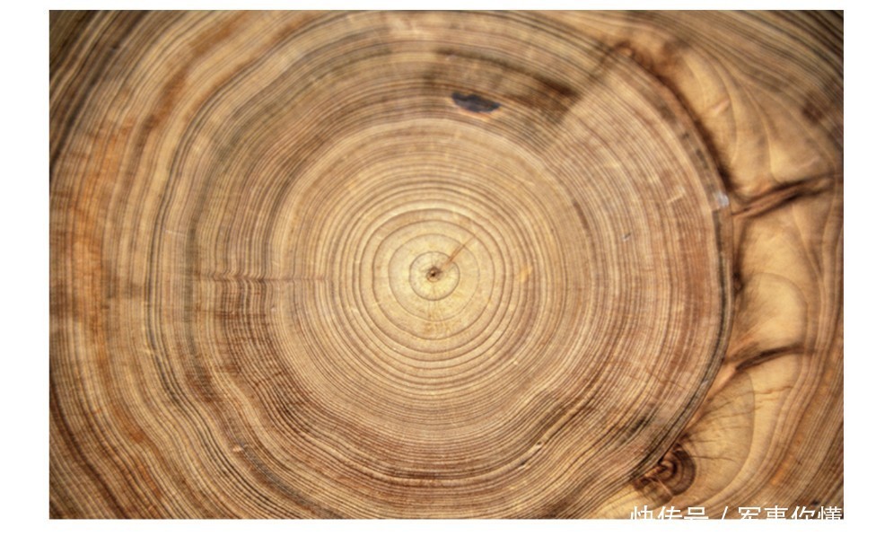 文明|小冰河期的教训