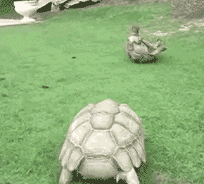 妹子|搞笑GIF:妹子,你这是喝酒的动作呀
