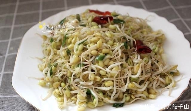 营养|绿豆芽这样发3天就能吃,简单一炒鲜美下饭又营养,全家喜欢吃