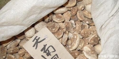 如今|山里这种野草俗称“蛇饭”,小时候看到不敢碰,如今成了种常用药