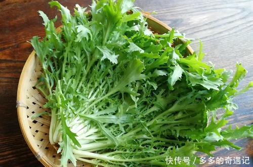  家人|天热易上火，多给家人吃这菜，维C是菠菜的3倍，开胃还败火