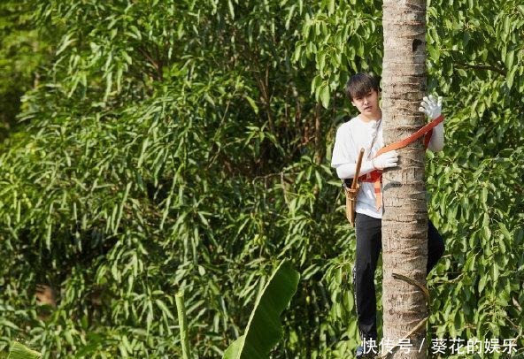 椰子树|官微说想念彭昱畅,网友让彭昱畅再坚持两天!发生了啥