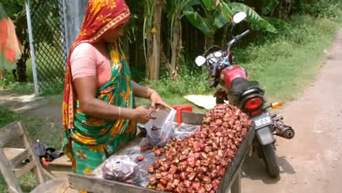 效仿|印度引进“中国特产”却成毒药效仿中国出口,受尽了侮辱
