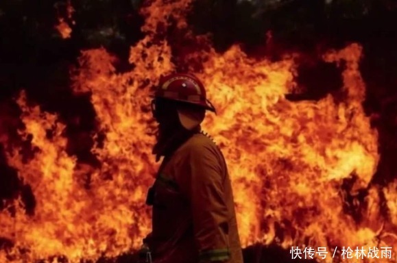  病毒|老板烧掉自家超市仓库，和“中国纸箱”有关？原因令人哭笑不得