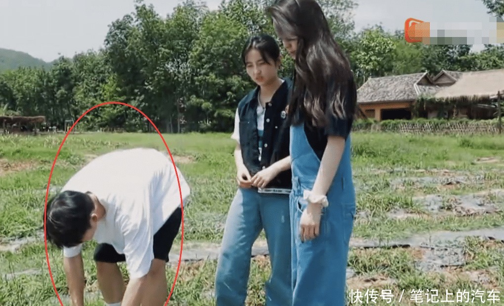 快乐家族|下期《向往》厉害了,两位人气偶像做客,张子枫见了都超激动!