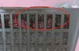 后悔|食物包装“过度”多坑人，网友吐槽都是“障眼法”，买了就后悔