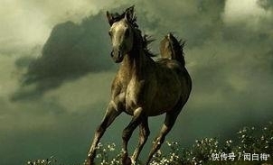  突破|生肖马：未来七天运势翻红，运亨通，达成愿望，找到突破