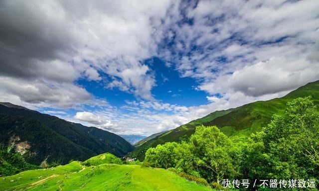 极端|在爱情里十分极端的星座,为了爱人辜负所有人,非常固执