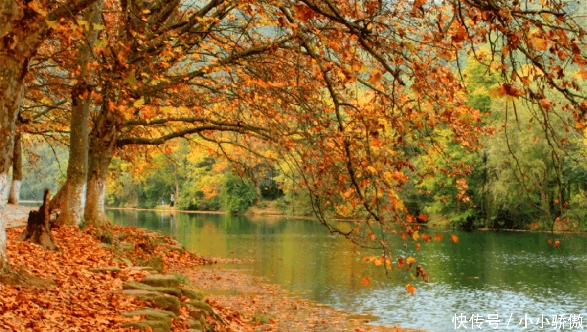 十付|俗语: “吃药十付, 不如独宿一夜”, 有何说法, 为何吃药不如独宿?